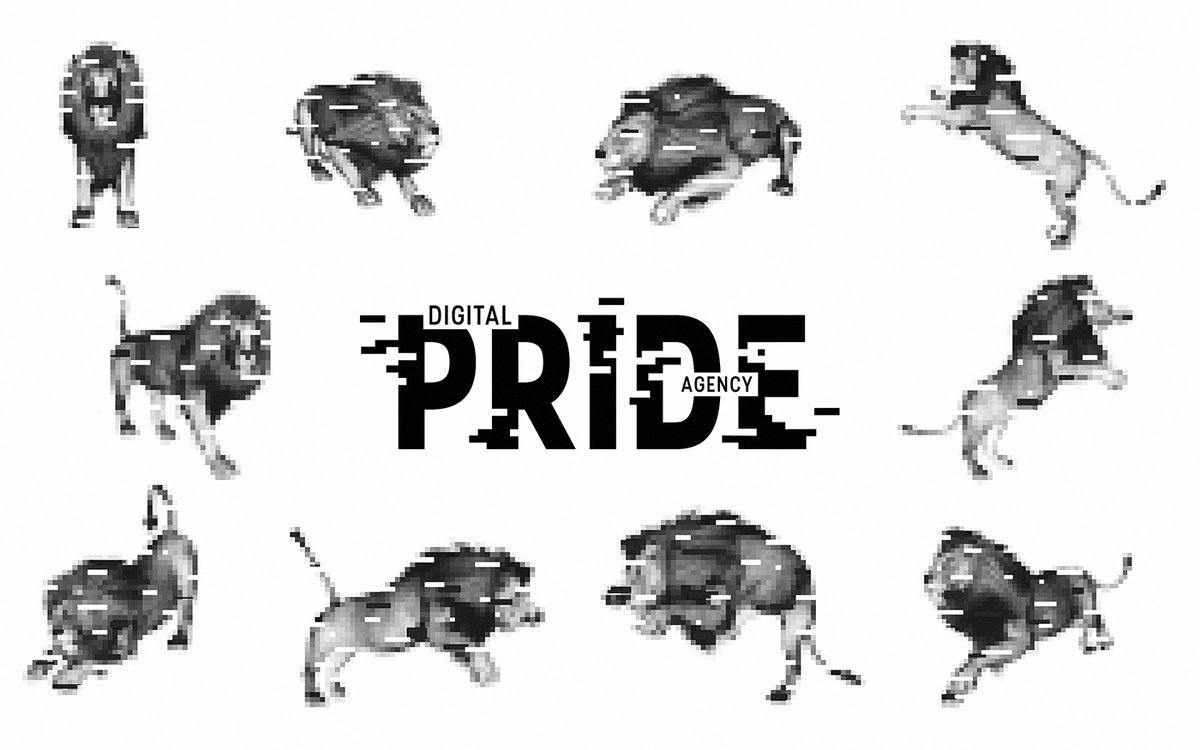 互聯(lián)網(wǎng)營銷企業(yè)Pride品牌形象設(shè)計
