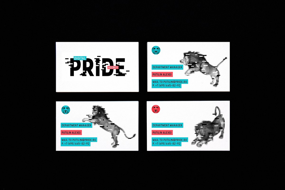 互聯(lián)網(wǎng)營銷企業(yè)Pride品牌形象設(shè)計