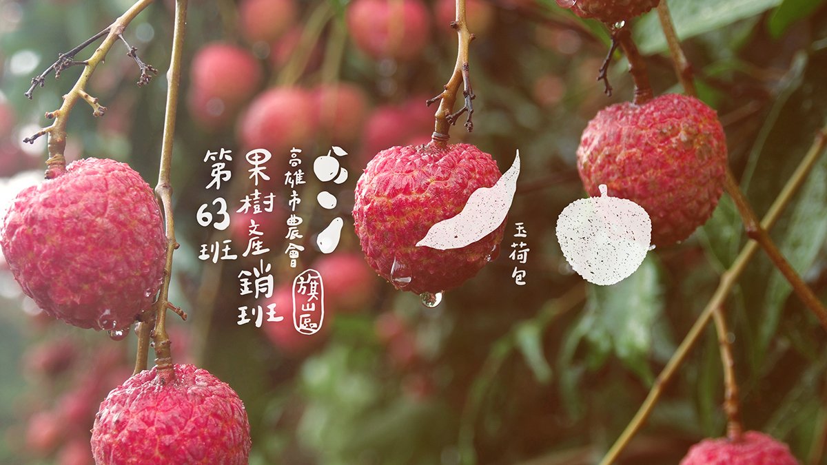 深圳品牌設(shè)計(jì)  深圳品牌策劃  高雄市農(nóng)會(huì)果樹產(chǎn)銷班第63班品牌形象設(shè)計(jì)  標(biāo)志設(shè)計(jì)