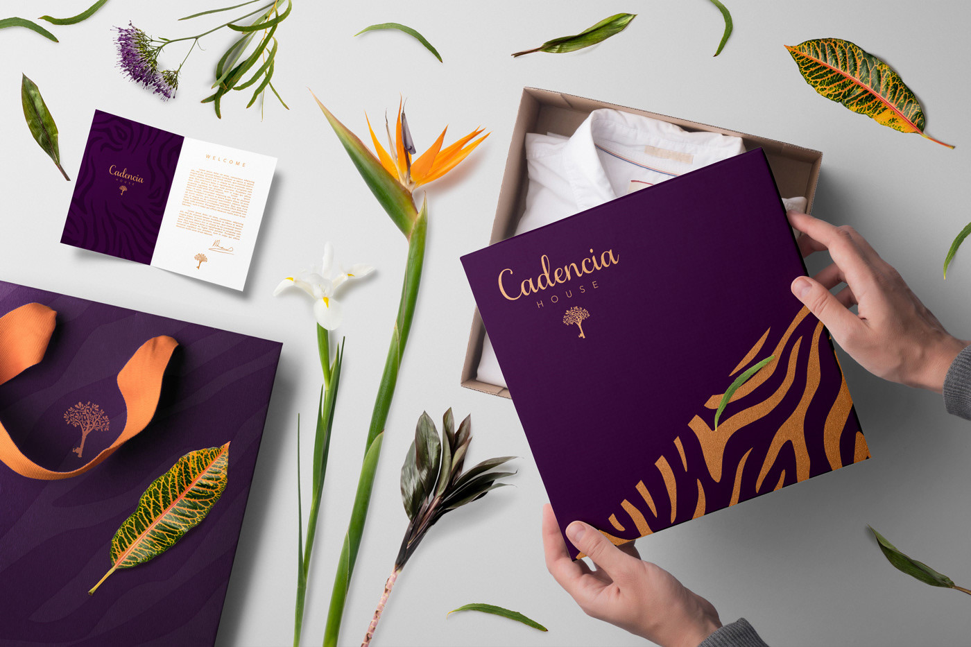 Cadencia時尚服裝品牌設(shè)計案例和品牌營銷，服裝品牌形象設(shè)計，品牌營銷，深圳品牌設(shè)計，左右格局