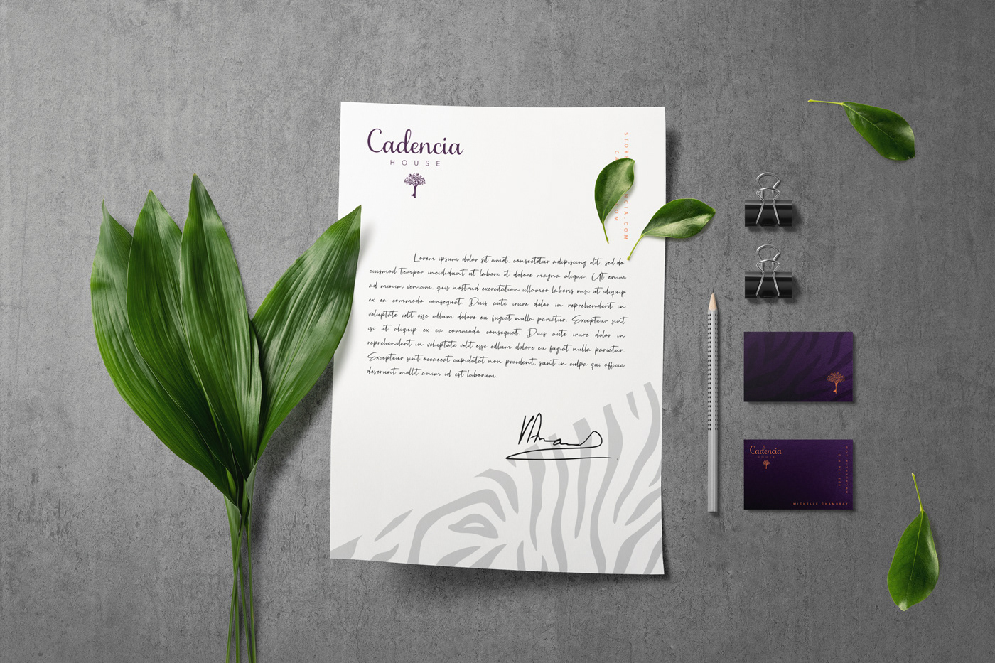 Cadencia時尚服裝品牌設(shè)計案例和品牌營銷，服裝品牌形象設(shè)計，品牌營銷，深圳品牌設(shè)計，左右格局