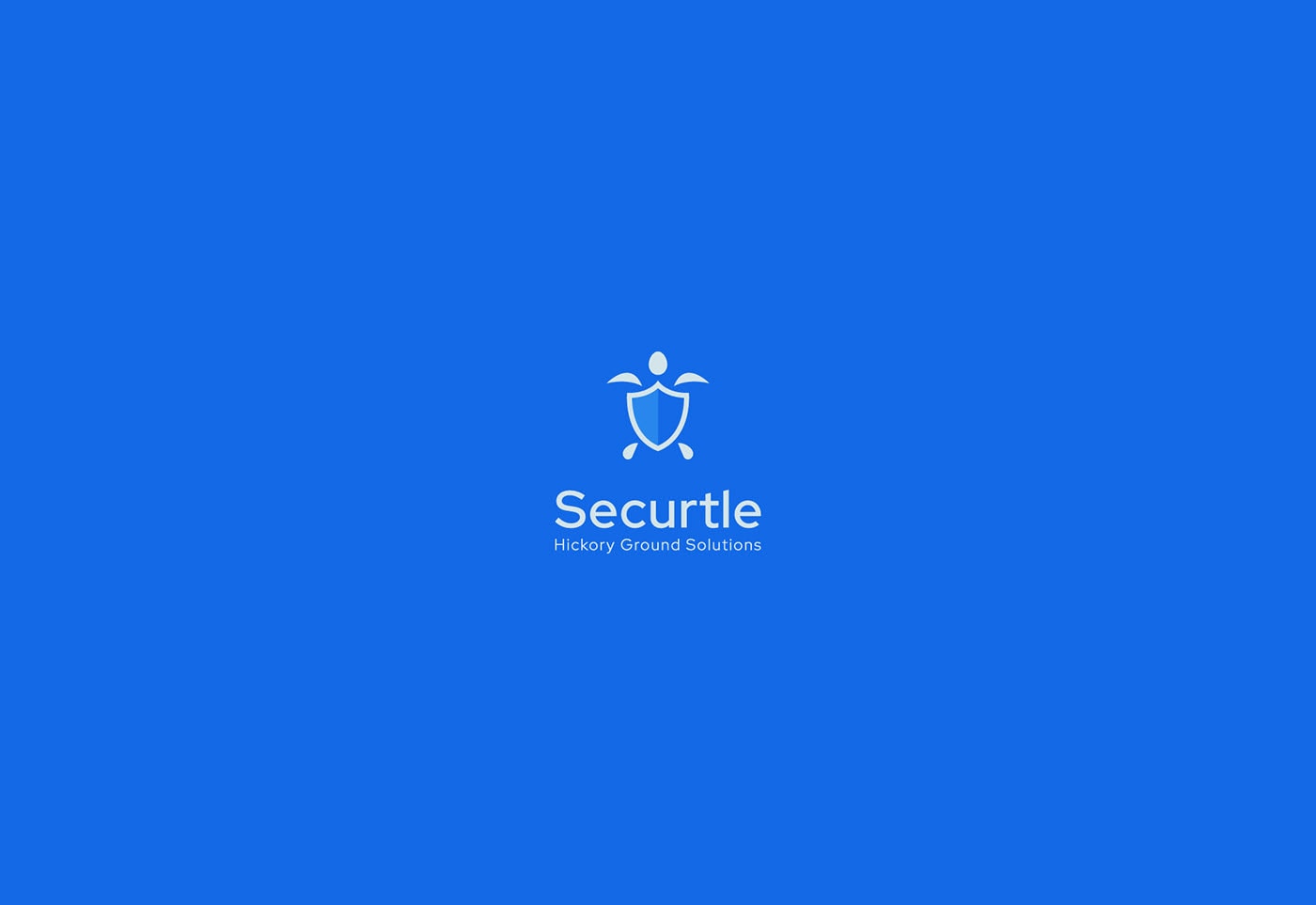 Securtle 網(wǎng)絡(luò)金融咨詢企業(yè)品牌視覺設(shè)計(jì)，金融品牌設(shè)計(jì)，品牌形象設(shè)計(jì)，品牌設(shè)計(jì)公司，左右格局