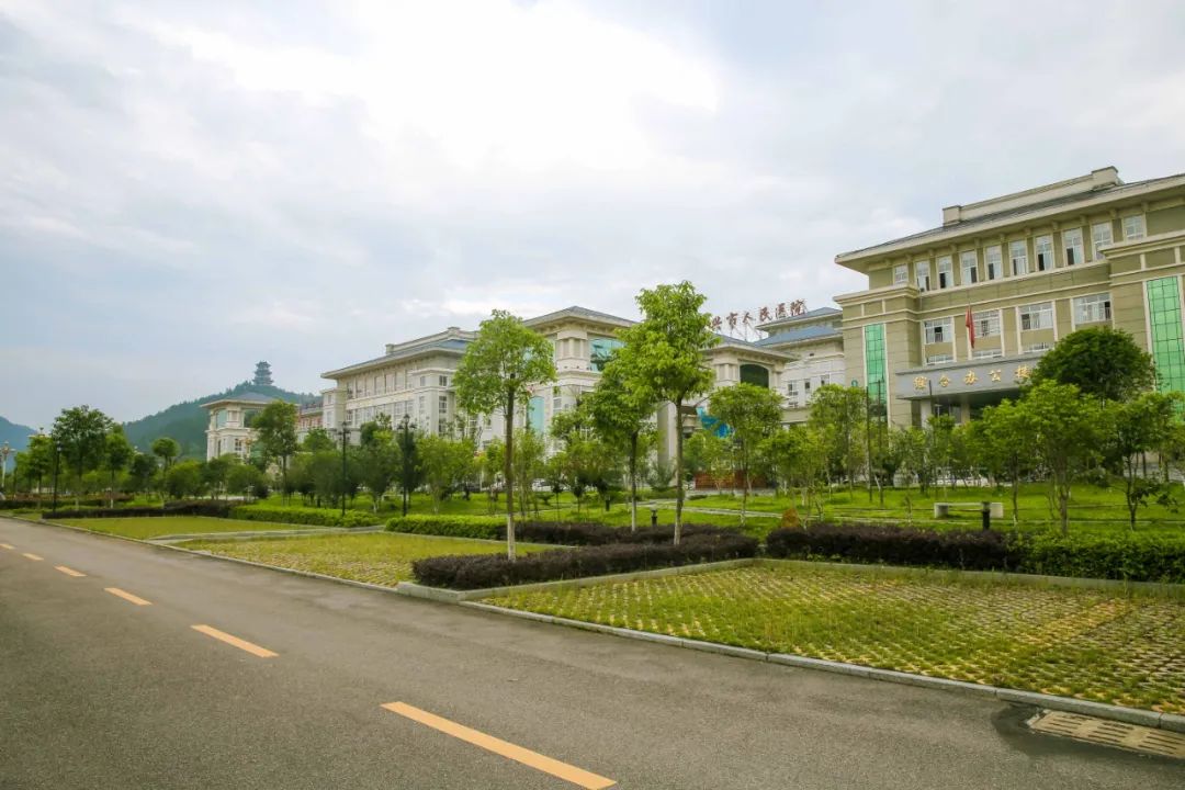 大中型公建50