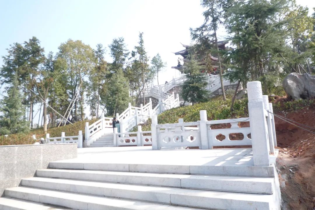 大中型公建216