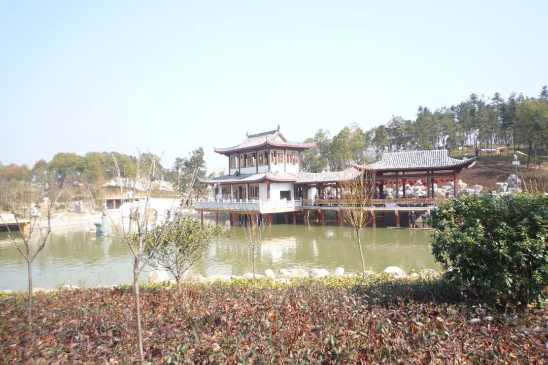 大中型公建217