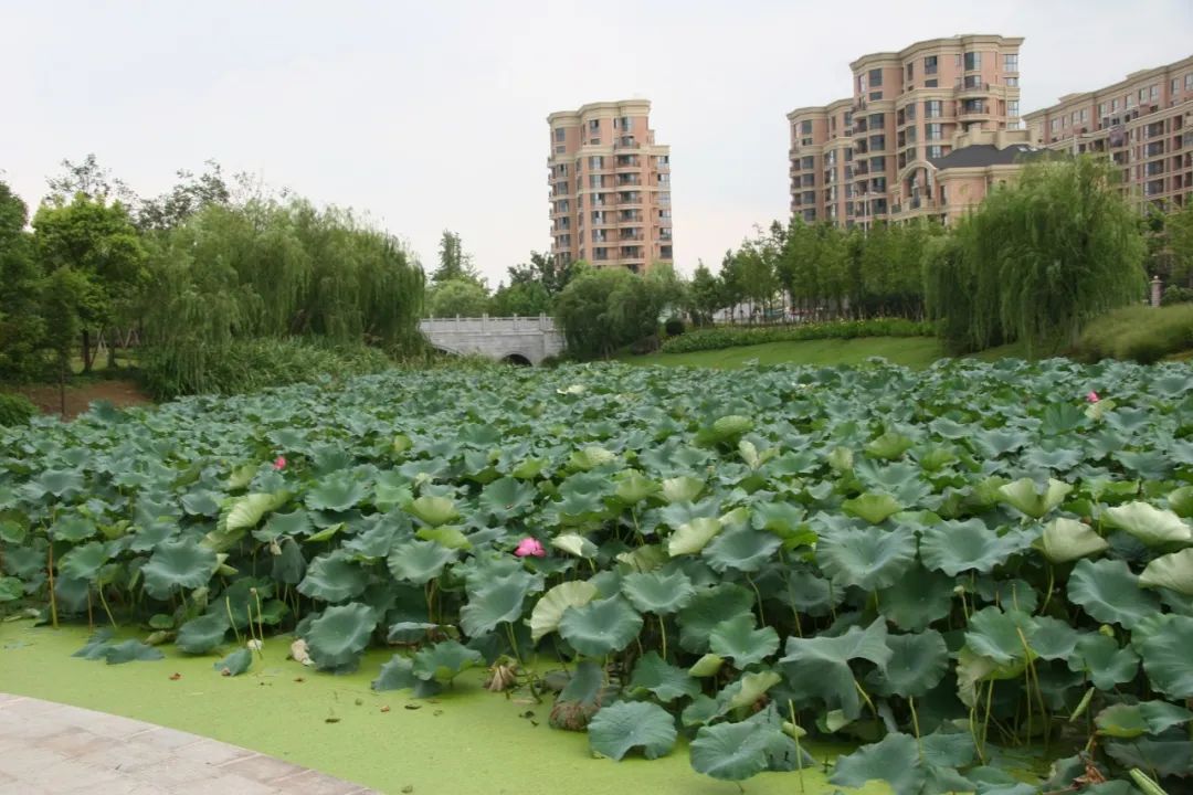 大中型公建304