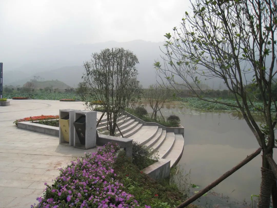 大中型公建317